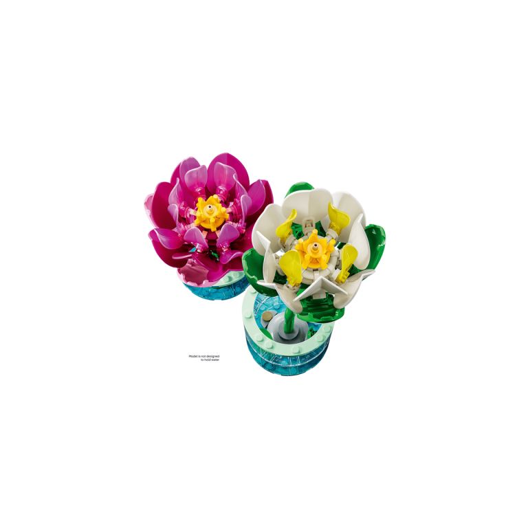 Botanicals Ninfee